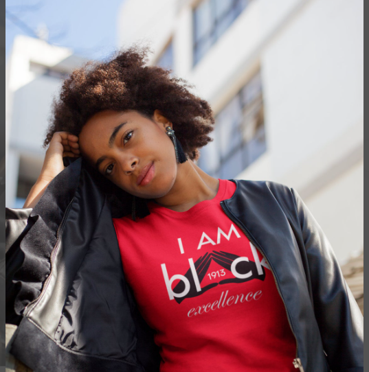 Delta Sigma Theta Shirt | Black Excellence Delta